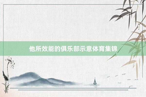 他所效能的俱乐部示意体育集锦