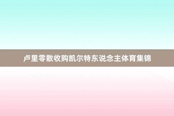 卢里零散收购凯尔特东说念主体育集锦