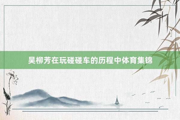吴柳芳在玩碰碰车的历程中体育集锦