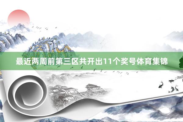 最近两周前第三区共开出11个奖号体育集锦