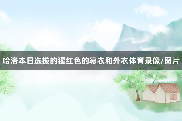 哈洛本日选拔的猩红色的寝衣和外衣体育录像/图片
