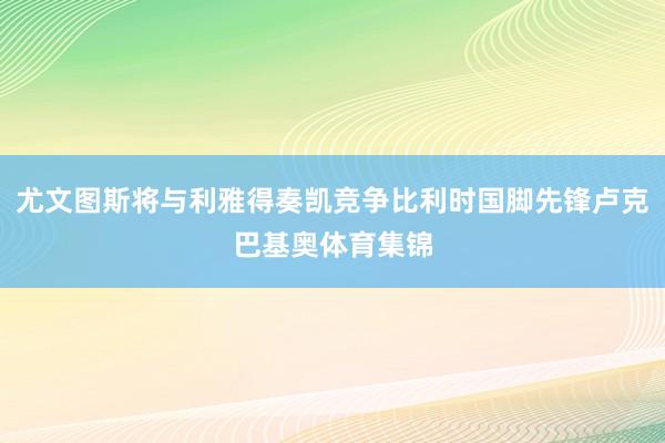 尤文图斯将与利雅得奏凯竞争比利时国脚先锋卢克巴基奥体育集锦