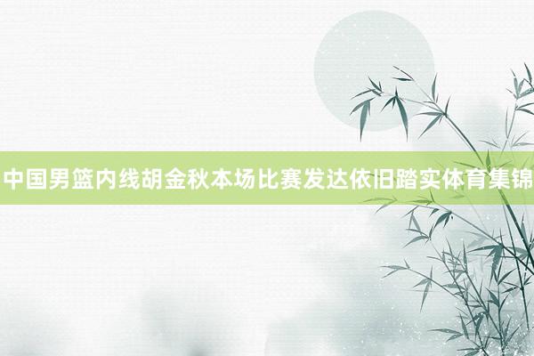 中国男篮内线胡金秋本场比赛发达依旧踏实体育集锦