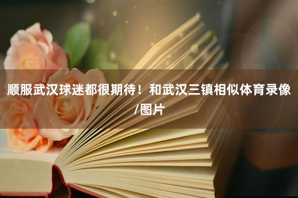 顺服武汉球迷都很期待！和武汉三镇相似体育录像/图片