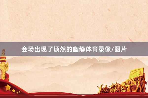 会场出现了顷然的幽静体育录像/图片