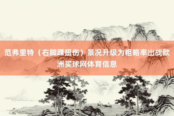 范弗里特（右脚踝扭伤）景况升级为粗略率出战欧洲买球网体育信息