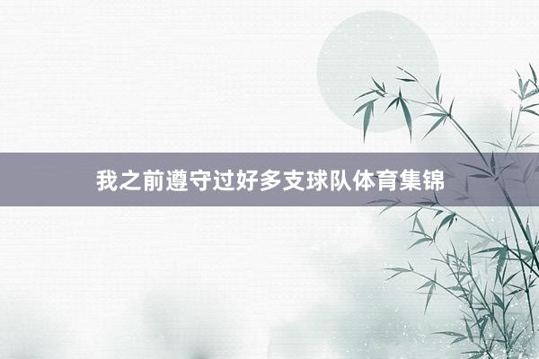 我之前遵守过好多支球队体育集锦