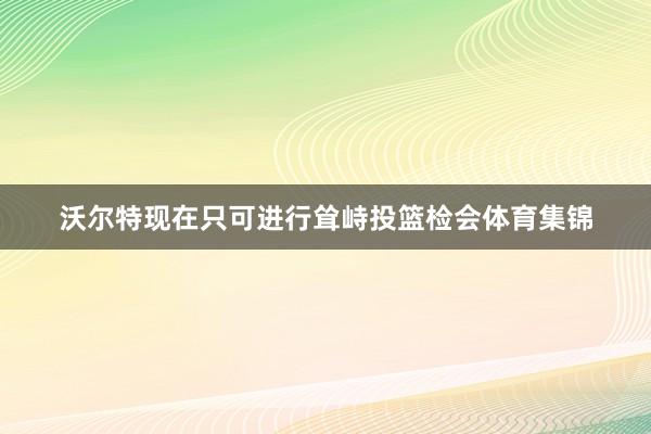 沃尔特现在只可进行耸峙投篮检会体育集锦
