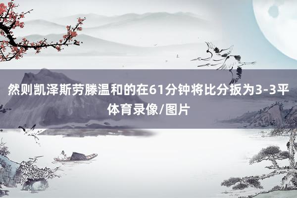 然则凯泽斯劳滕温和的在61分钟将比分扳为3-3平体育录像/图片