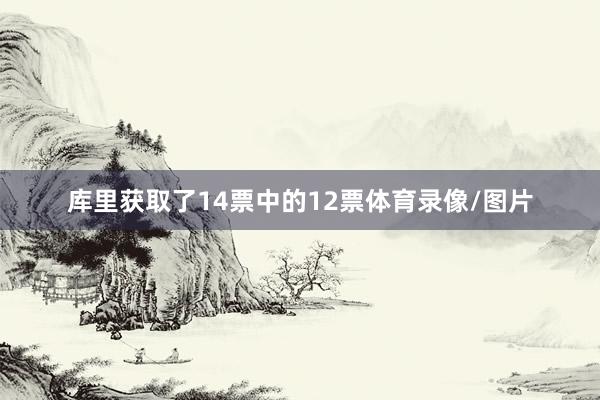 库里获取了14票中的12票体育录像/图片