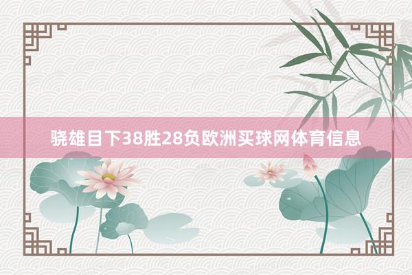 骁雄目下38胜28负欧洲买球网体育信息