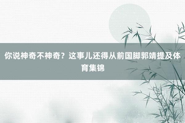 你说神奇不神奇？这事儿还得从前国脚郭靖提及体育集锦
