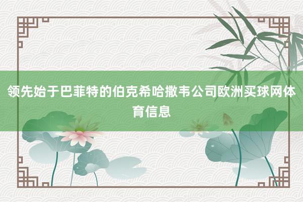 领先始于巴菲特的伯克希哈撒韦公司欧洲买球网体育信息