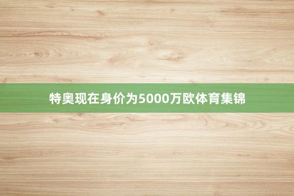 特奥现在身价为5000万欧体育集锦