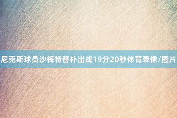 尼克斯球员沙梅特替补出战19分20秒体育录像/图片