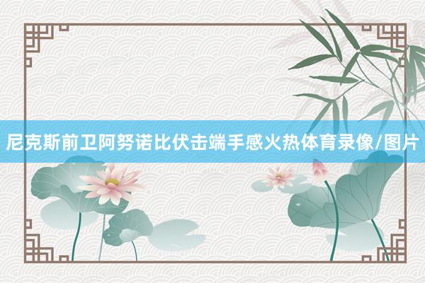 尼克斯前卫阿努诺比伏击端手感火热体育录像/图片