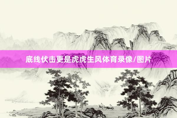 底线伏击更是虎虎生风体育录像/图片