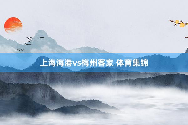 上海海港vs梅州客家 体育集锦