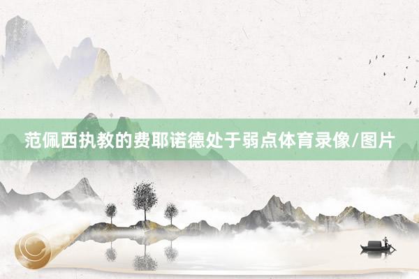 范佩西执教的费耶诺德处于弱点体育录像/图片
