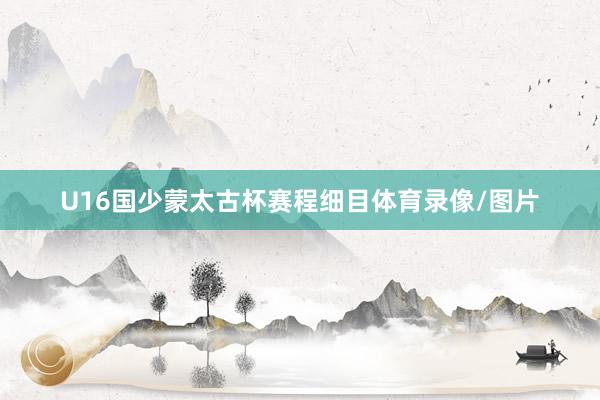 U16国少蒙太古杯赛程细目体育录像/图片