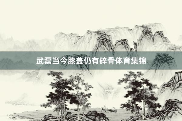 武磊当今膝盖仍有碎骨体育集锦