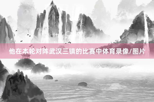 他在本轮对阵武汉三镇的比赛中体育录像/图片