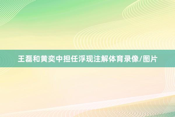 王磊和黄奕中担任浮现注解体育录像/图片