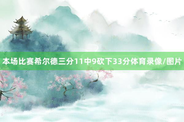 本场比赛希尔德三分11中9砍下33分体育录像/图片