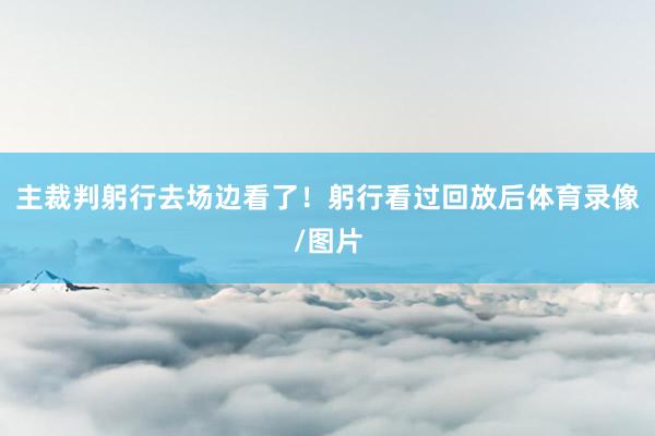 主裁判躬行去场边看了！躬行看过回放后体育录像/图片