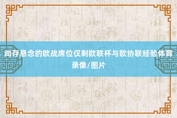 尚存悬念的欧战席位仅剩欧联杯与欧协联经验体育录像/图片