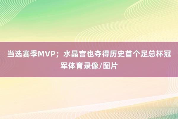 当选赛季MVP；水晶宫也夺得历史首个足总杯冠军体育录像/图片