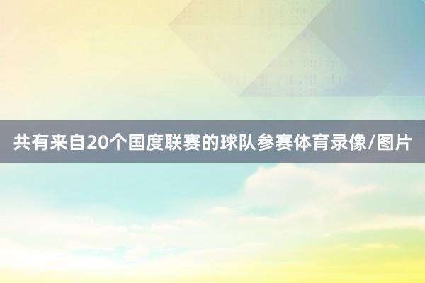 共有来自20个国度联赛的球队参赛体育录像/图片