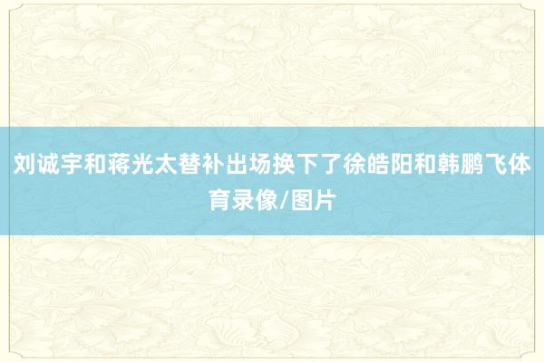 刘诚宇和蒋光太替补出场换下了徐皓阳和韩鹏飞体育录像/图片