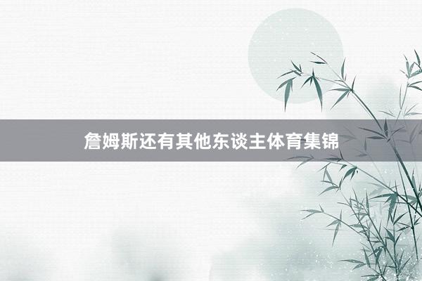 詹姆斯还有其他东谈主体育集锦