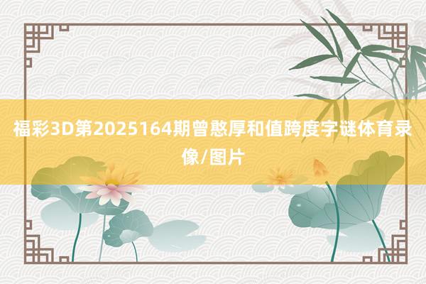 福彩3D第2025164期曾憨厚和值跨度字谜体育录像/图片