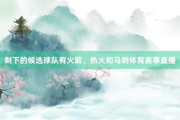 剩下的候选球队有火箭、热火和马刺体育赛事直播