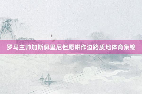 罗马主帅加斯佩里尼但愿耕作边路质地体育集锦