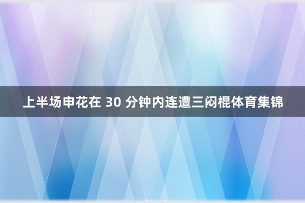 上半场申花在 30 分钟内连遭三闷棍体育集锦