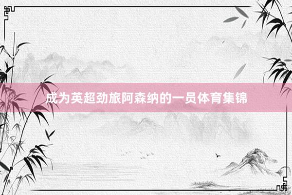 成为英超劲旅阿森纳的一员体育集锦