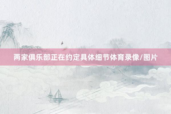 两家俱乐部正在约定具体细节体育录像/图片