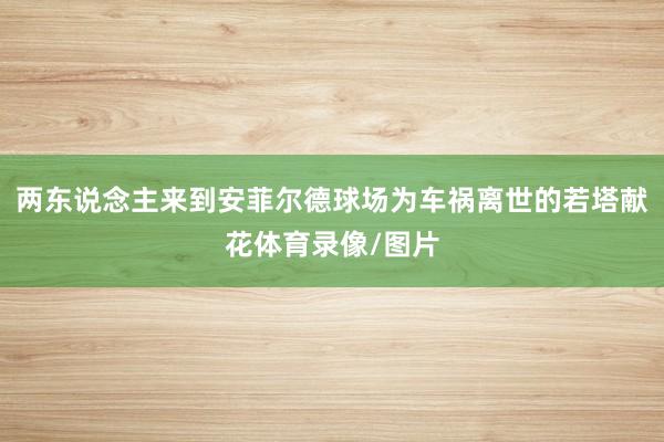 两东说念主来到安菲尔德球场为车祸离世的若塔献花体育录像/图片