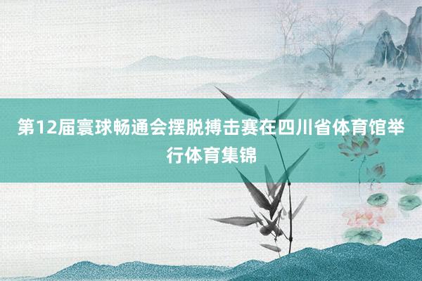 第12届寰球畅通会摆脱搏击赛在四川省体育馆举行体育集锦