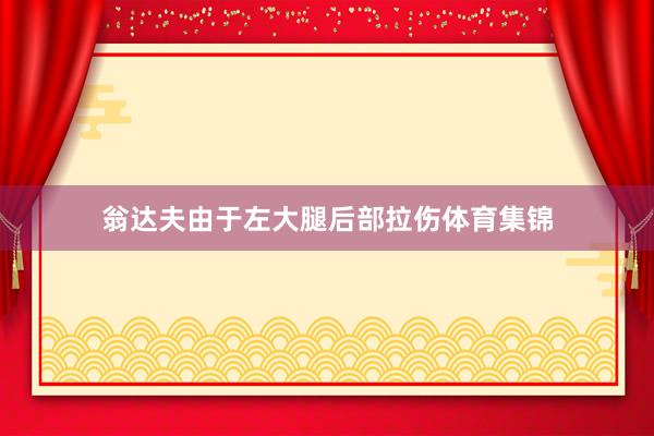 翁达夫由于左大腿后部拉伤体育集锦
