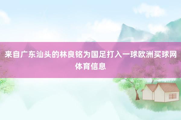 来自广东汕头的林良铭为国足打入一球欧洲买球网体育信息