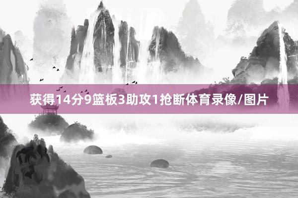 获得14分9篮板3助攻1抢断体育录像/图片