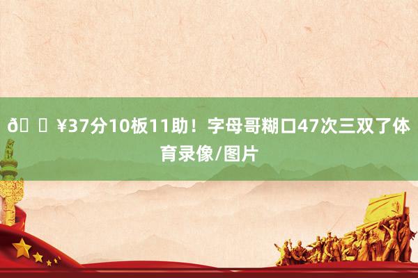 🔥37分10板11助！字母哥糊口47次三双了体育录像/图片