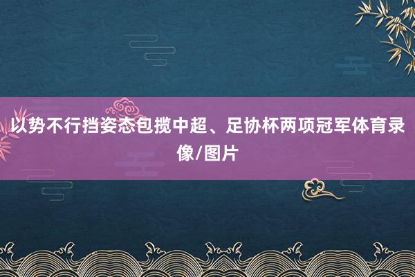 以势不行挡姿态包揽中超、足协杯两项冠军体育录像/图片