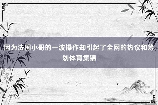 因为法国小哥的一波操作却引起了全网的热议和筹划体育集锦