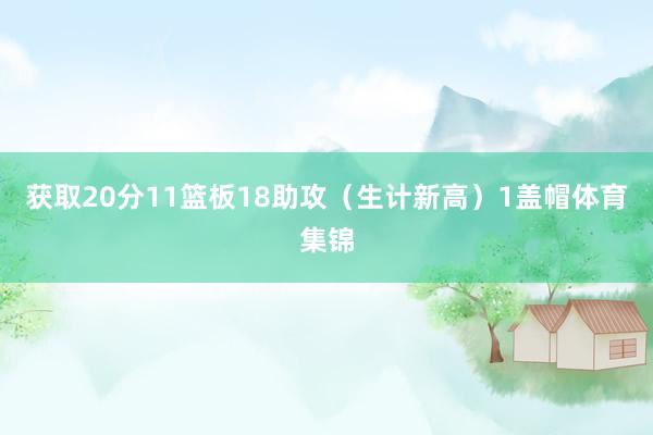 获取20分11篮板18助攻（生计新高）1盖帽体育集锦