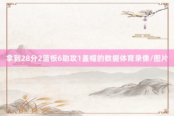 拿到28分2篮板6助攻1盖帽的数据体育录像/图片